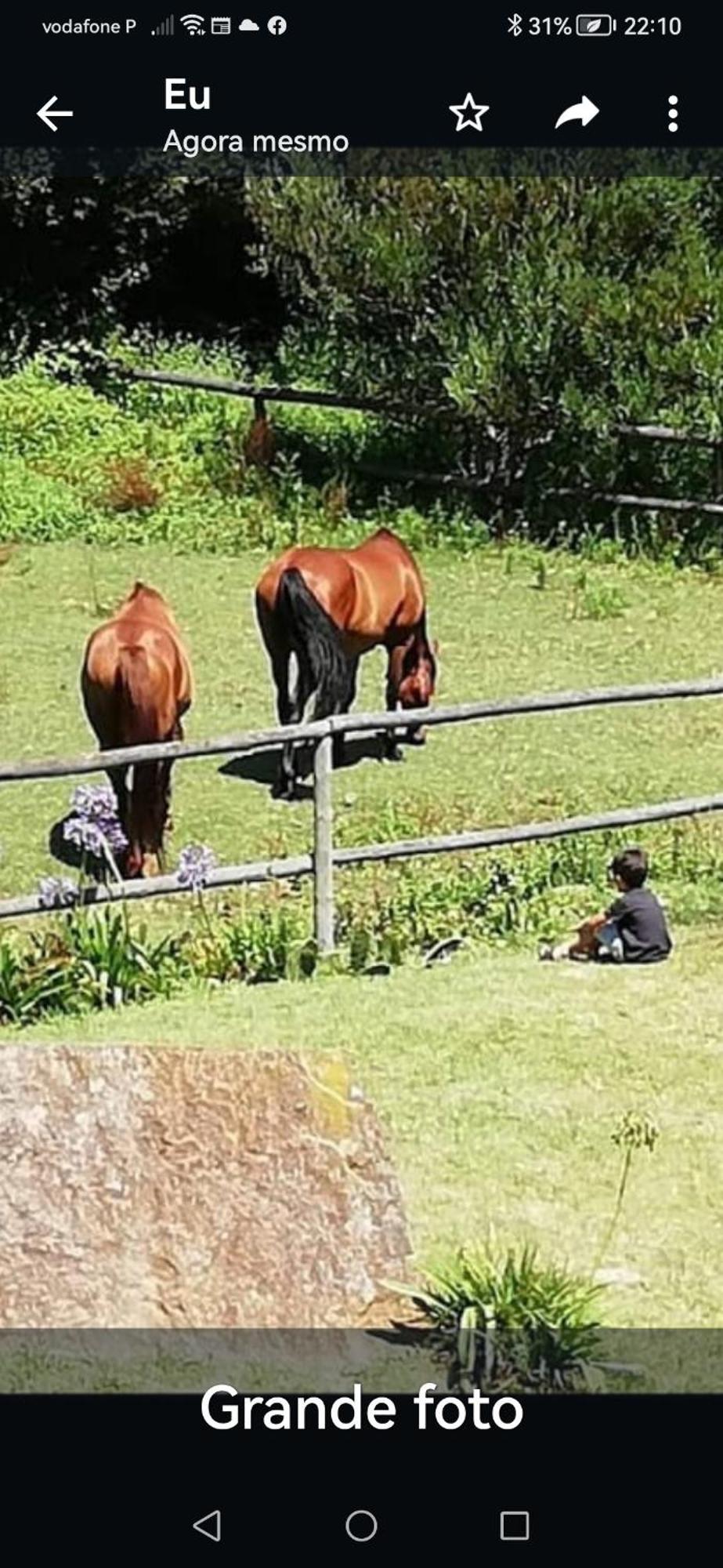 T1 Na Casa Da Quinta S Jose Villa Praia de Mira Kültér fotó